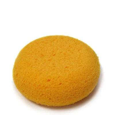 Round Sponge